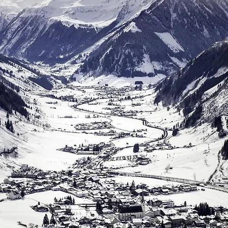 Stoeckl Gaby ראוריס